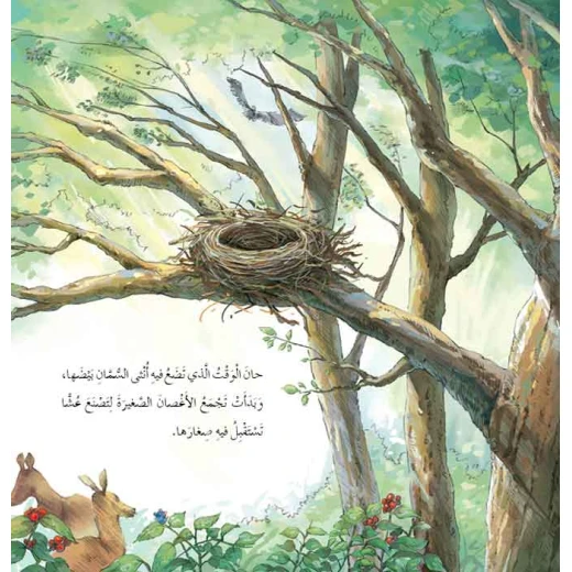 Dar Al Manhal Stories: Fantasy Series:12 Treacherous Bird - Dar Al Manhal - Image 4