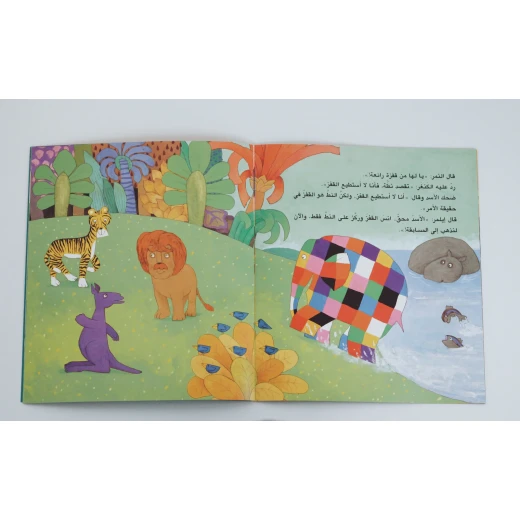 سلسلة دفيد ماكي : إيلمر و الغريب - Image 2