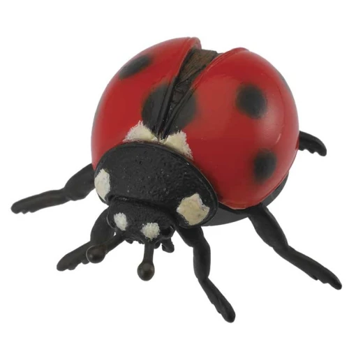 Collecta Ladybird Figure Realistic Hand Painted Insect Toy for Kids Collecta Ladybird Figure Realistic Hand Painted Insect Toy for Kids