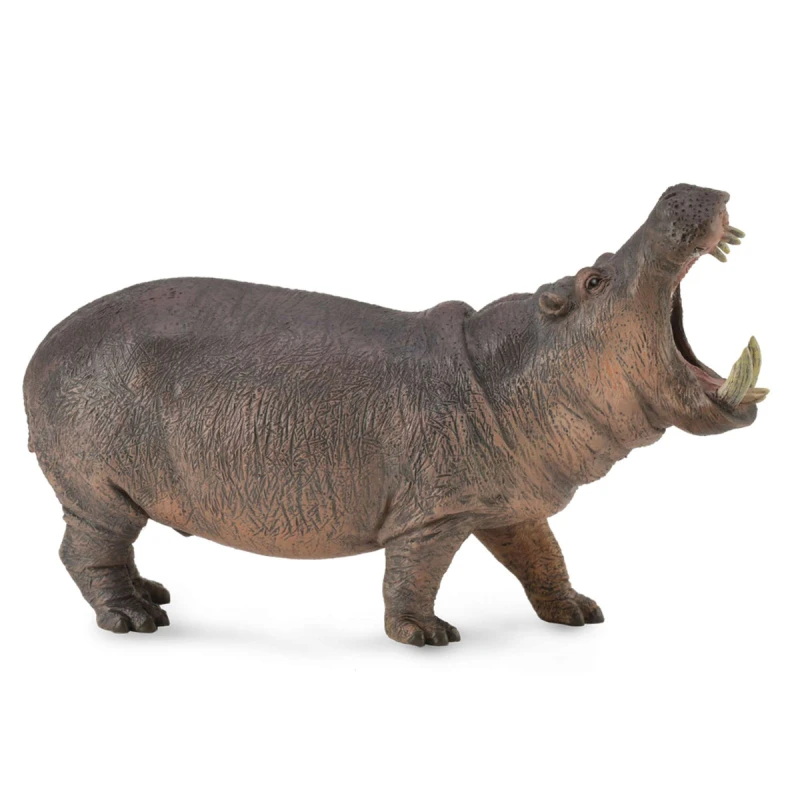 CollectA Hippopotamus Toy Figure Realistic Animal Model for Kids and Collectors - CollectA