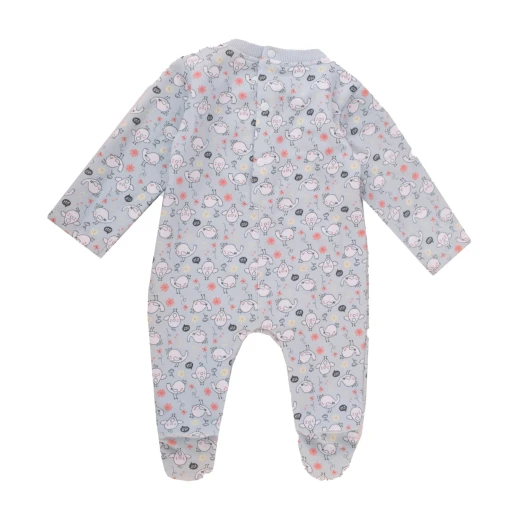 Junior Hello Birde Printed Bodysuit & Jacket (3-6 m) - Junior Clothing - Image 3
